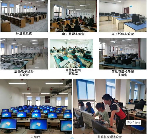 院系篇丨信息科学与技术学院 聚焦软件工程与网络技术开发的创新摇篮